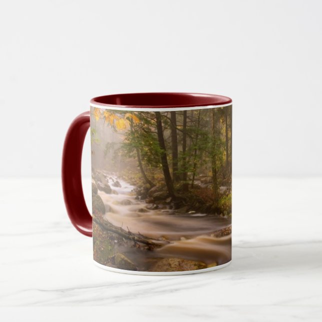 Taza Trail Appalachian | Vermont (Anverso izquierdo)