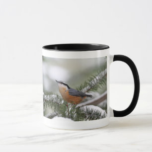 Taza Trepatroncos en la rama Nevado en invierno