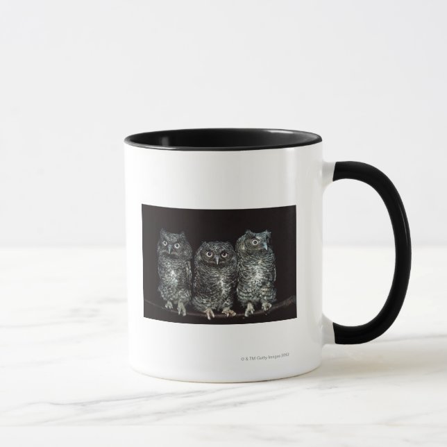 Taza tres búhos (Derecha)