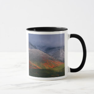 Taza Tres estaciones de follaje, arces rojos y otoño