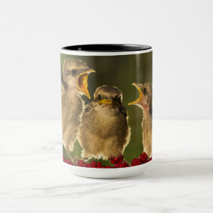 Taza Tres pájaros de Schach del Lanius del bebé