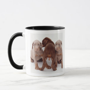 Taza Tres perritos del pinscher del Doberman