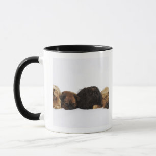 Taza Tres perros de Pekingese y solo barro amasado que