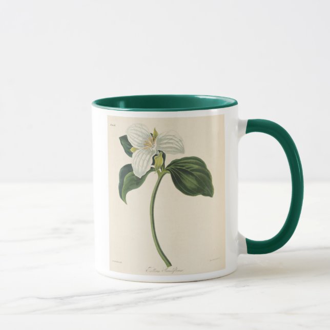 Taza Trillium florecido grande (Derecha)