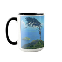 taza trinidad paramin