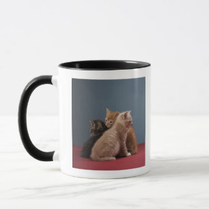 Taza Trío de gatitos