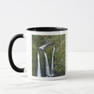 Taza Triple Falls, desfiladero del río Columbia