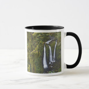 Taza Triple Falls, desfiladero del río Columbia
