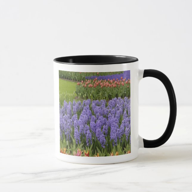 Taza Tulip y Hyacinth Garden, Keukenhof Gardens, (Derecha)