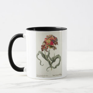 Taza Tulipa Monstrosa Rubra Maior de 'Phythanthoza Ic