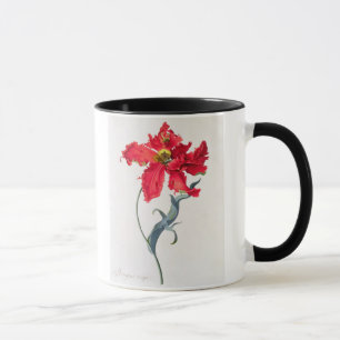 Taza Tulipán: Colorete de Perroquet