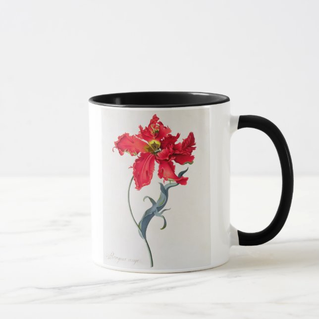 Taza Tulipán: Colorete de Perroquet (Derecha)