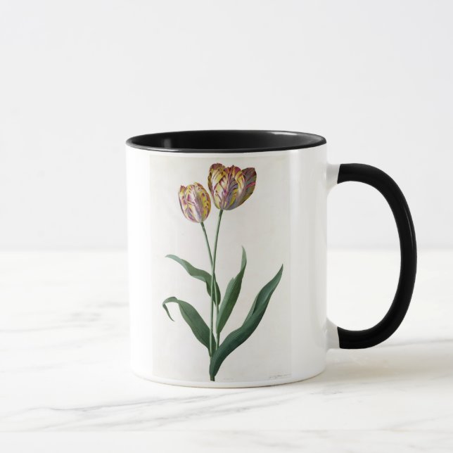 Taza Tulipán del tulipán (Derecha)