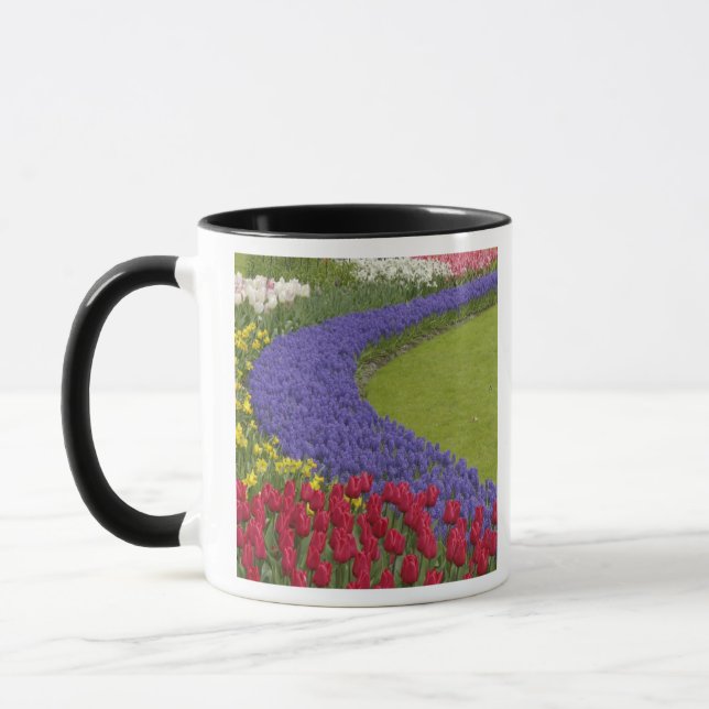 Taza Tulipán, Hyacinth de uva y jardín de daffodias, (Izquierda)