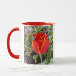 Taza Tulipán rojo