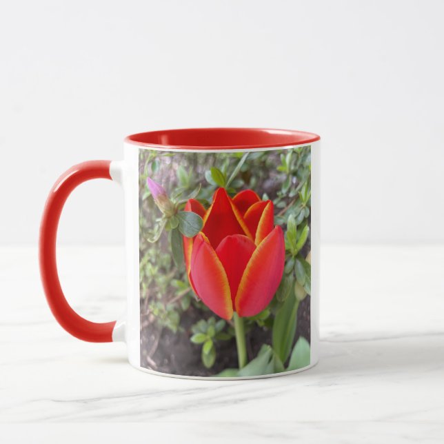 Taza Tulipán rojo (Izquierda)
