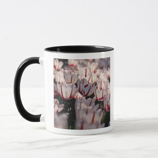 Taza Tulipanes (Izquierda)