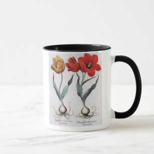 Taza Tulipanes: colore del cinnabrio del serotina del