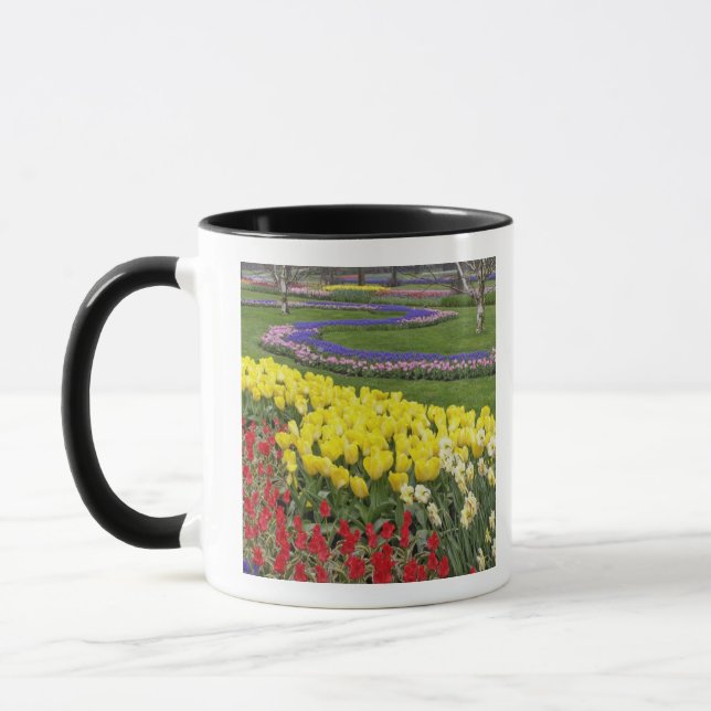 Taza Tulipanes, jacintos de uva, y faffodillos, (Izquierda)