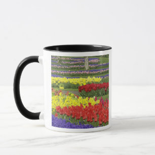 Taza Tulipanes, jacintos de uva y narcisos, 2