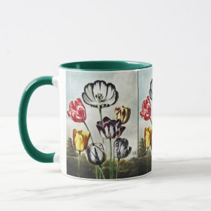 Taza Tulipanes Multicolor al Estilo Regency Malhumorado