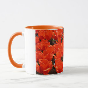 Taza Tulipanes naranjas gigantes