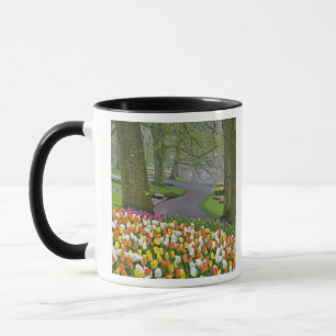 Taza Tulipanes y carretera, Jardines Keukenhof, Lisse,
