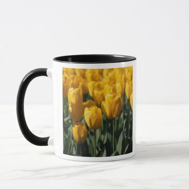 Taza Tulipanos 3 (Izquierda)