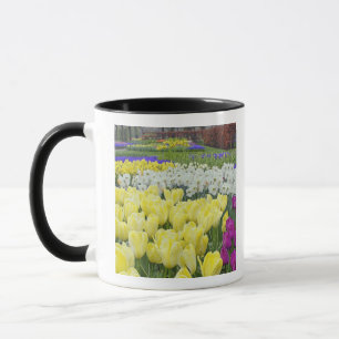 Taza Tulipanos, daffodils y flores de jacinto de uva,