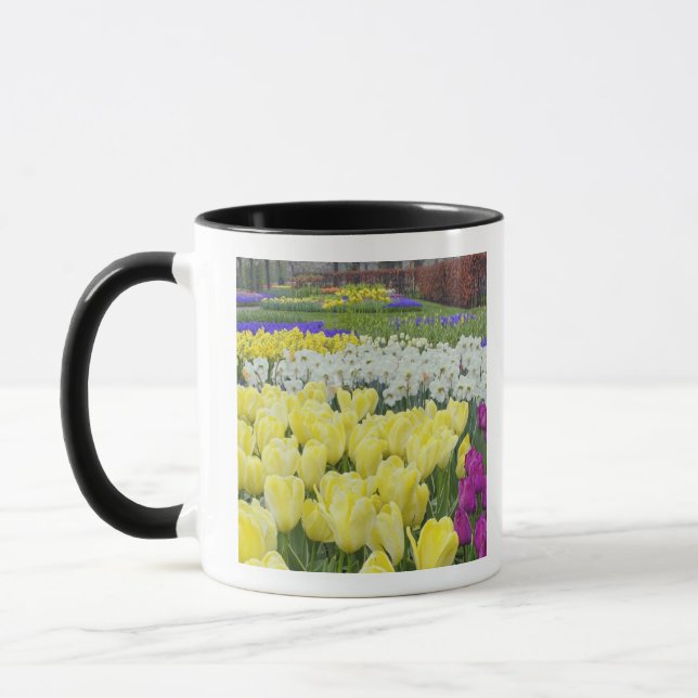 Taza Tulipanos, daffodils y flores de jacinto de uva, (Izquierda)