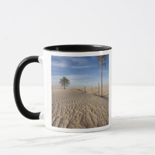 Taza Túnez, desierto del Sahara, Douz, Gran Duna, amane