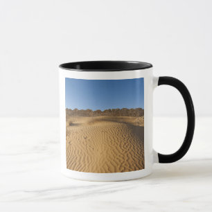 Taza Túnez, zona de Ksour, Ksar Ghilane, Gran Erg 2