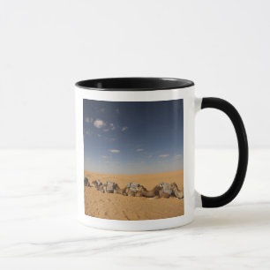 Taza Túnez, zona de Ksour, Ksar Ghilane, Gran Erg 2