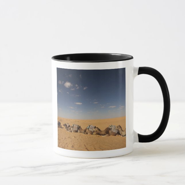 Taza Túnez, zona Ksour, Ksar Ghilane, Gran Erg 4 (Derecha)