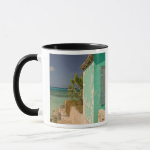 Taza Turcas y Caicos, Isla Gran Turca, Cockburn 4