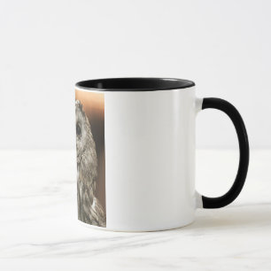 Taza Twany Owl
