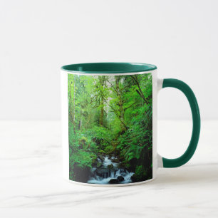 Taza Un arroyo en un bosque maduro