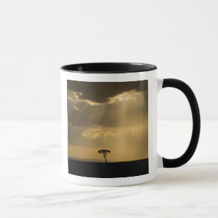 Taza Un atardecer místico a su regreso al campamento e