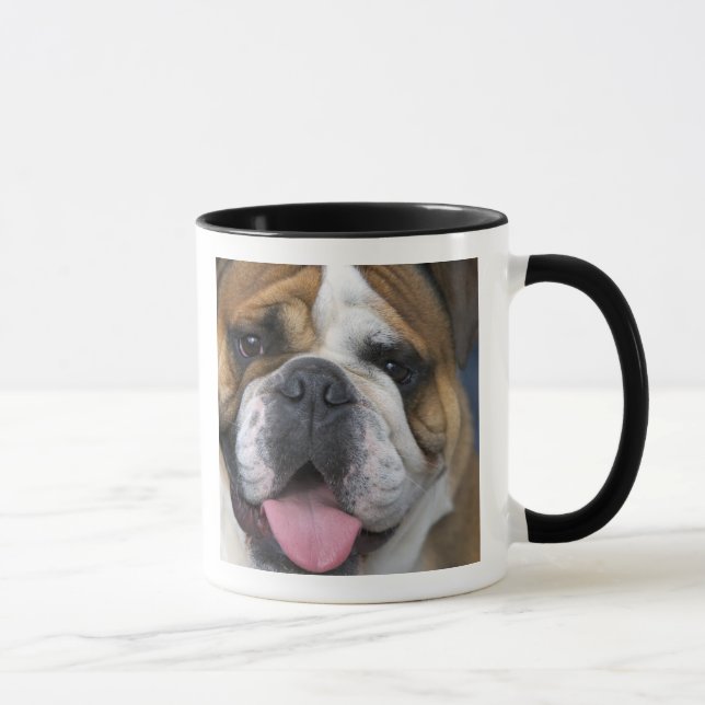 Taza Un bulldog inglés en Bélgica. (Derecha)