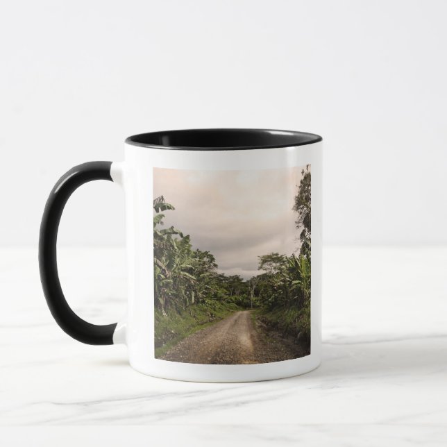 Taza Un camino alejado de la selva (Izquierda)