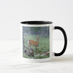 Taza Un ciervo joven en un claro del bosque