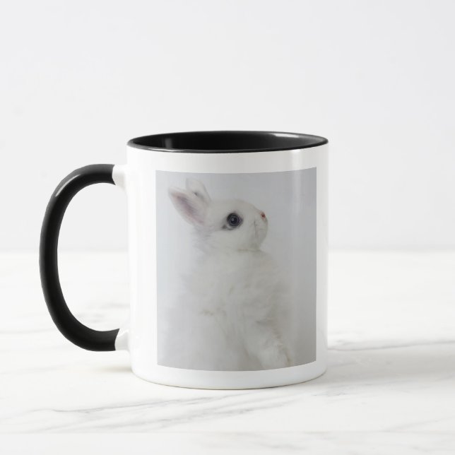 Taza Un conejo blanco. Jersey Wooly. (Izquierda)