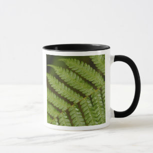 Taza Un detalle de un helecho, del Bosque Nuboso de Min