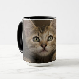 Taza Un gatito muy dulce del Tabby