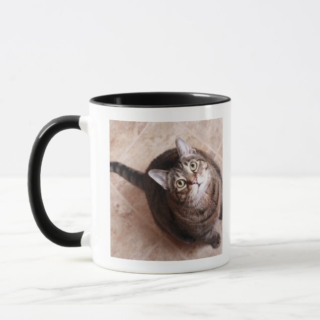 Taza Un gato de tabby que mira para arriba (Izquierda)