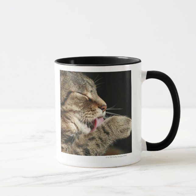 Taza Un gato de tabby que se lame la pata (Derecha)