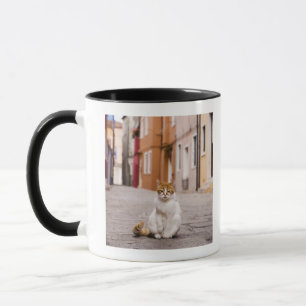 Taza Un gato en las calles de Burano, Italia.  2006.