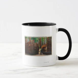 Taza Un gigante caido, parque de estado de Humboldt