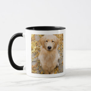 Taza Un golden retriever de los años, retrato