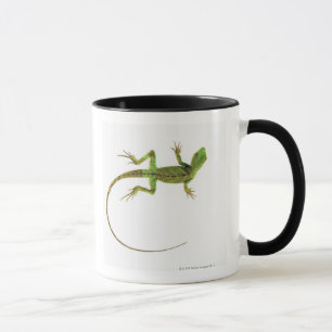 Taza Un lagarto en la tierra blanca pura